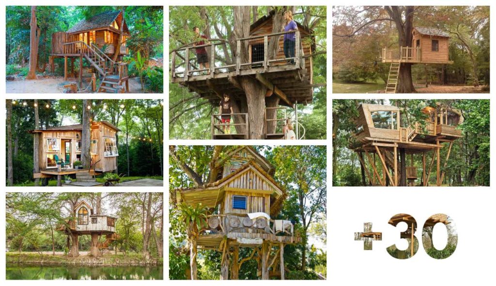 +30 ideas de casas en el árbol, casas construidas sobre arboles - GEOCAX